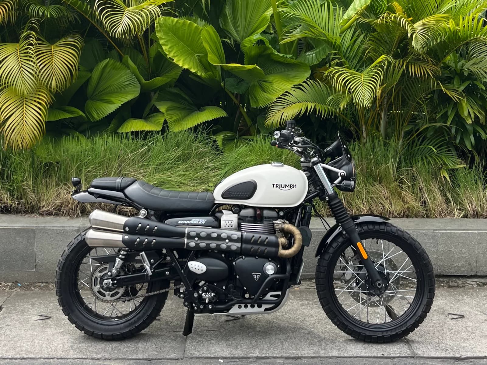 Triumph Scrambler 900